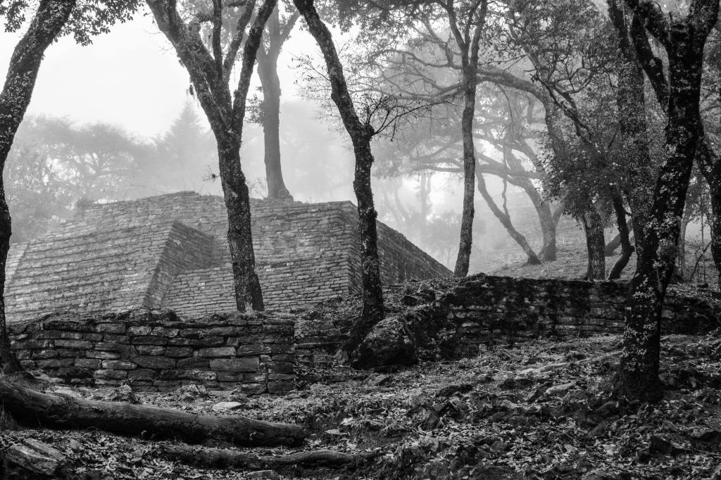 Raising the Dead: Unearthing Unfinished&nbsp;Projects